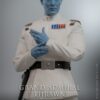 Star Wars Ahsoka Action Figure 1/6 Grand Admiral Thrawn (Acconto Preordine) - immagine 3