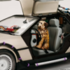Back to the Future-Diecast Delorean Time Machine (Part 1)  (Preorder Japan) - immagine 6