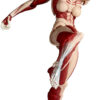 Revoltech Amazing Yamaguchi Attack on Titan-Female Titan (Preorder Japan) - immagine 9