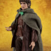 S.H. Figuarts The Lord of the Rings-Frodo & Gollum (Acconto Preordine) - immagine 7
