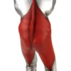 Ultraman (B Type) Specium Ray High Grade Ver. with LED Light-Up Gimmick (Preorder Japan) - immagine 4
