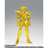 Aquarius Hyoga Successor of the Golden Cloth (Acconto Preordine)